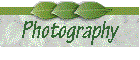 botton_photo.gif (2446 bytes)