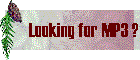 lookingformp3.gif (2811 bytes)