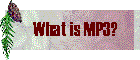 whatismp3.gif (2823 bytes)
